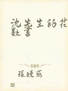 沈先生的花式调数书