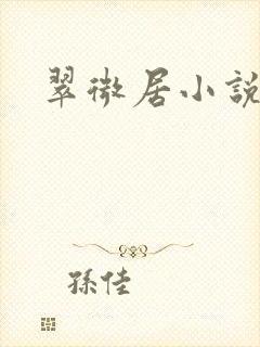 翠微居小说
