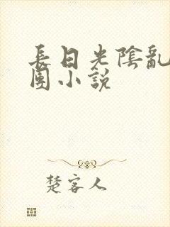 长日光阴乱作一团小说