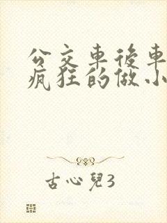 公交车后车座的疯狂的做小