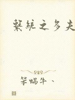 系统之多夫HP封面