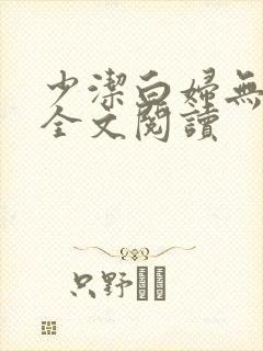 少洁白妇无删减全文阅读封面