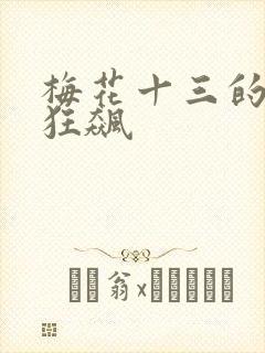 梅花十三的乳液狂飙