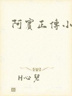 阿宾正传小说