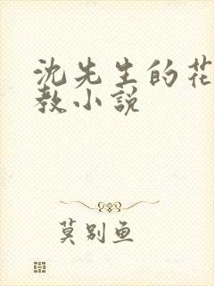 沈先生的花式调教小说封面