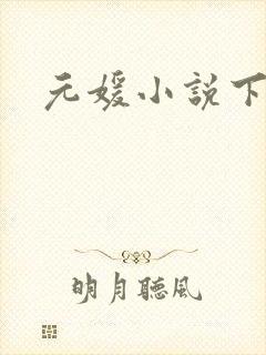 元媛小说下载