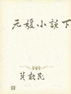 元媛小说下载
