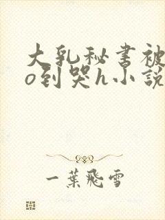 大乳秘书被cao到哭h小说