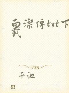 白洁传txt下载