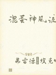 混蛋神风流史补封面