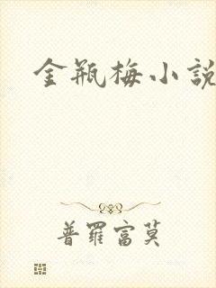 金瓶梅小说下载封面
