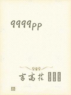 9999pp封面
