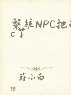 系统NPC把我c了