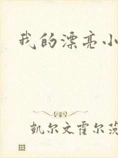 我的漂亮小后妈