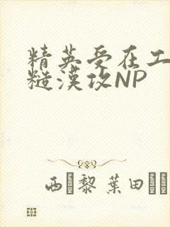 精英受在工地被糙汉攻NP