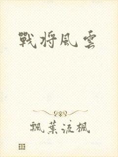 战将风云封面