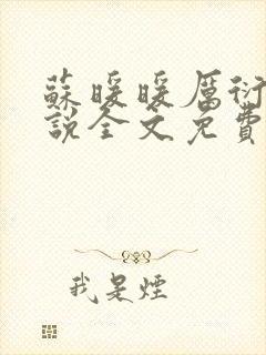 苏暖暖厉衍琛小说全文免费阅读