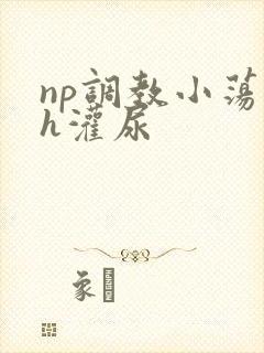 np调教小荡货h灌尿