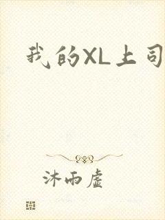 我的XL上司封面