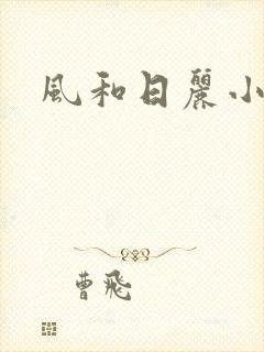 风和日丽小说