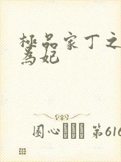 极品家丁之册母为妃