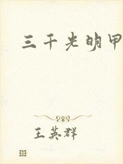 三千光明甲封面