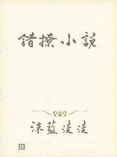 错撩小说