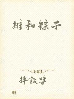 维和粽子