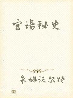 官场秘史封面