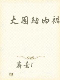 大团结内裤奇缘封面