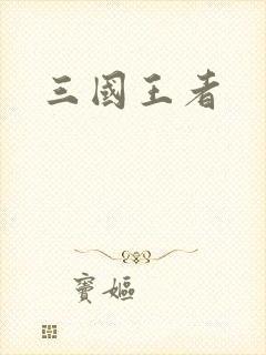 三国王者封面