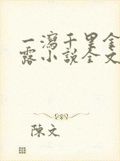 一泻千里金银花露小说全文免费阅读