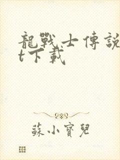 龙战士传说txt下载