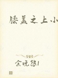 膝盖之上小说封面
