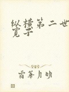 纵横第二世界 宽子