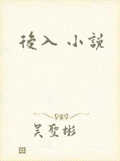 后入 小说