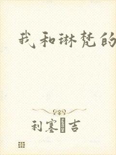 我和琳梵的故事封面