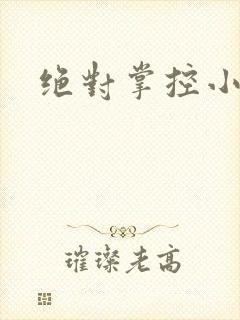 绝对掌控小说