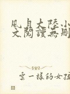 风月大陆小说全文阅读无删减