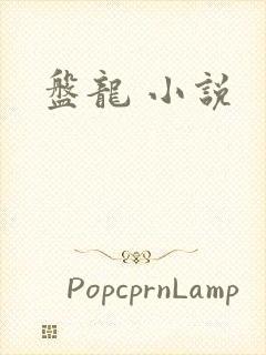 盘龙 小说