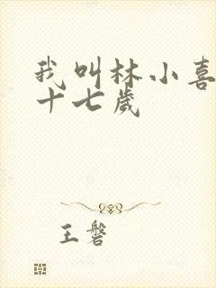 我叫林小喜今年十七岁封面
