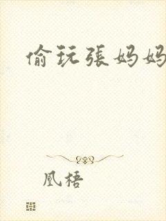偷玩张妈妈