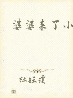 婆婆来了小说