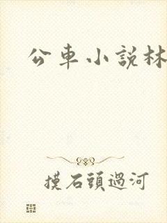 公车小说林蔓蔓封面