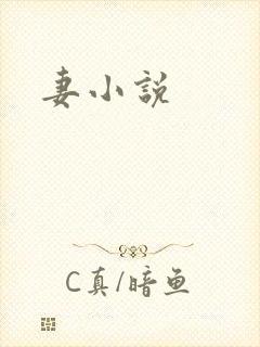 妻小说