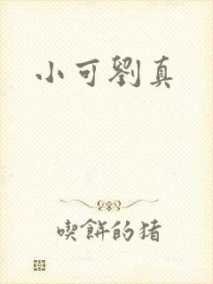 小可刘真