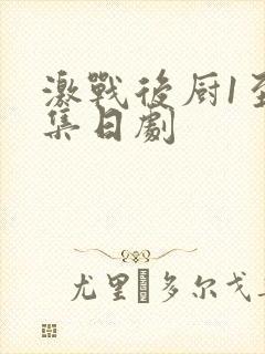 激战后厨1至5集日剧封面