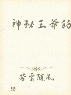 神秘王爷的爱妃