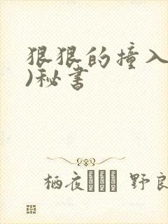 狠狠的撞入(h)秘书