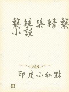 系统集精系统 小说